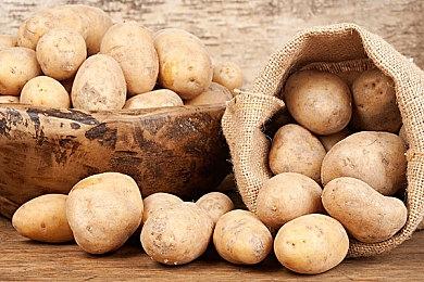 《战锤40K：星际战士2》幕后预告片展示泰伦虫群